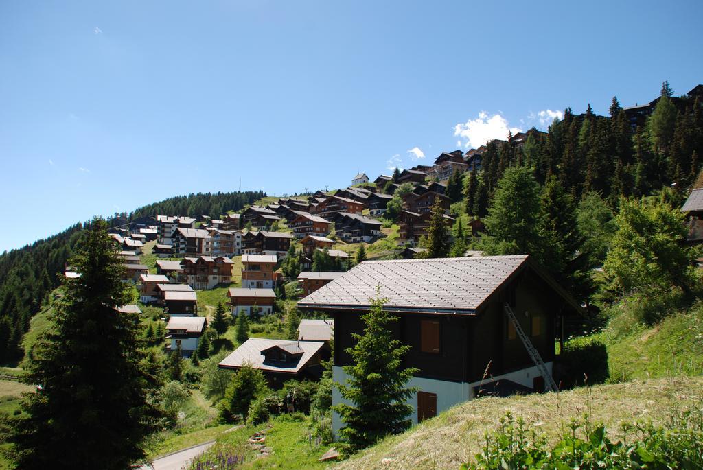 Chalet Foresta ベットメラルプ エクステリア 写真